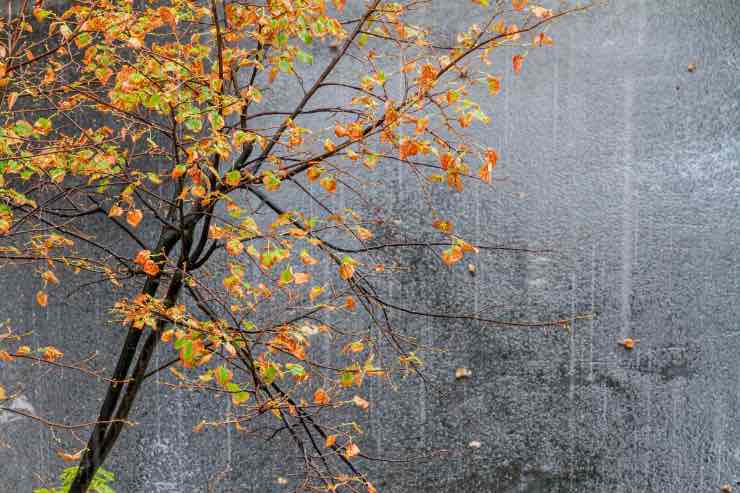 meteo previsioni ognissanti