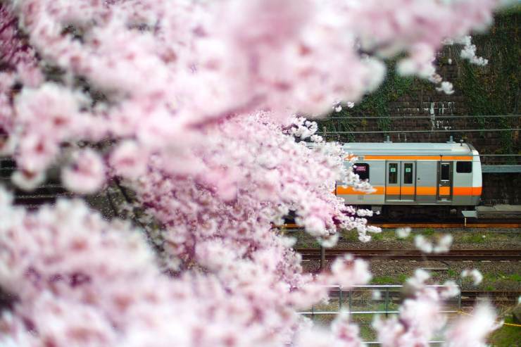 treno giapponese senza conducente