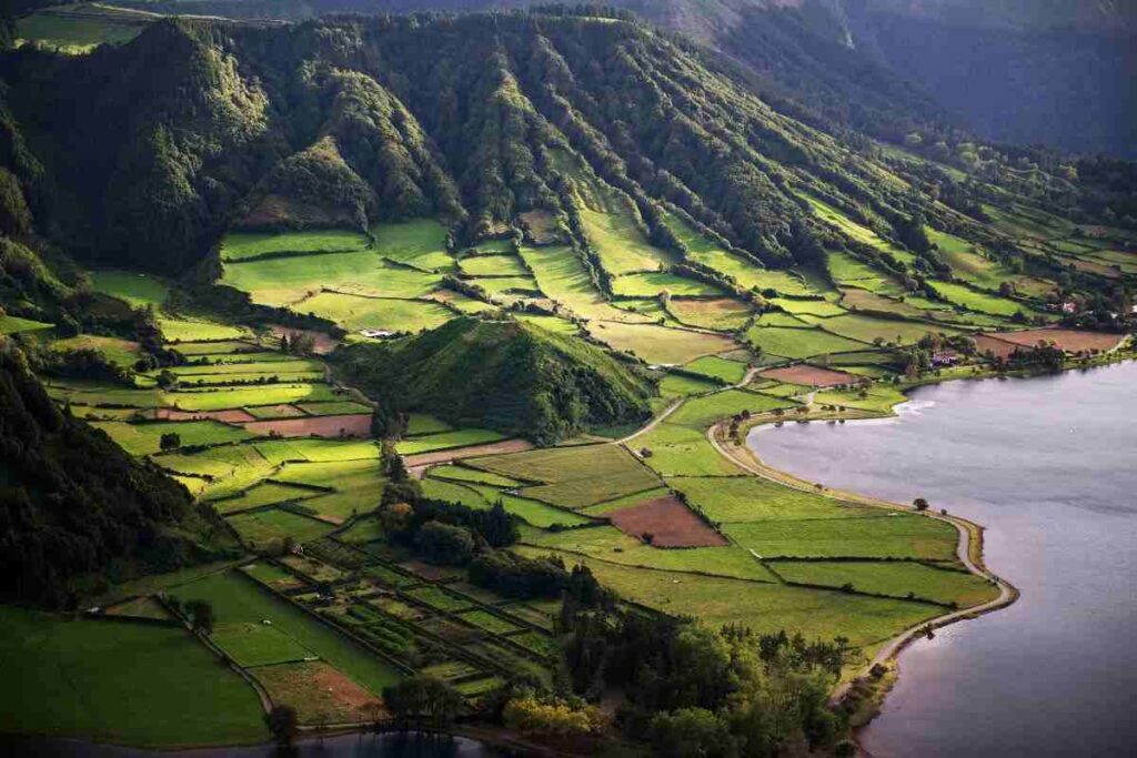 azzorre isole biodiversità