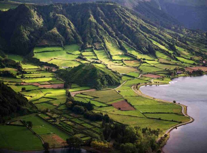 azzorre isole biodiversità