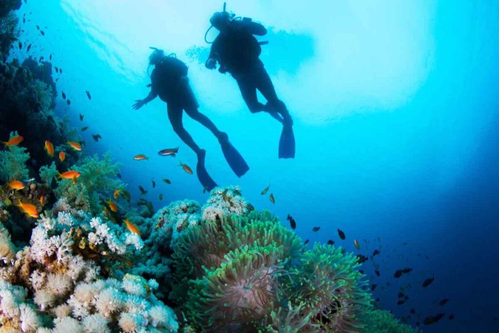 area marina protetta barriera corallina e pesca sostenibile