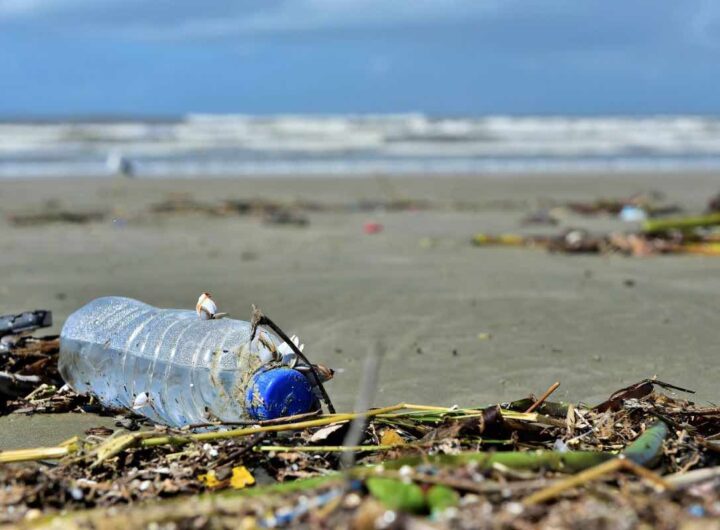 plastica negli oceani soluzione