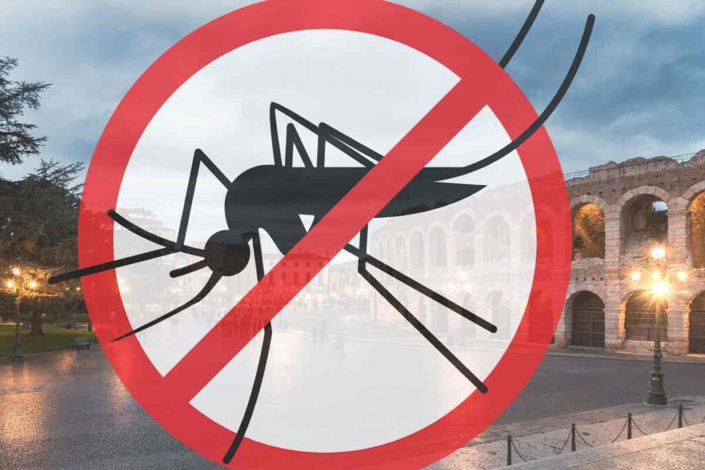 allarme malaria a verona cosa accade